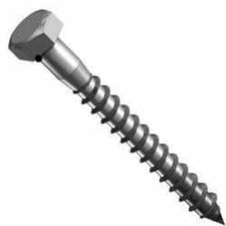 Galvanized Coach Screws 10 x 75 mm