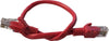 Switchcom Distribution 0.25m UTP Cat6 Red Flylead | FL-C6-0.25-R