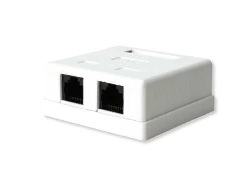 Switchcom Distribution Cat6 Double Wall Box | WB-C6-D